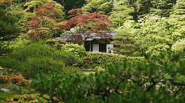 Urasenke Tankoikai Seattle Association