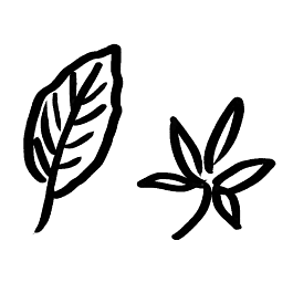 Urasenke Tankoikai Seattle Association